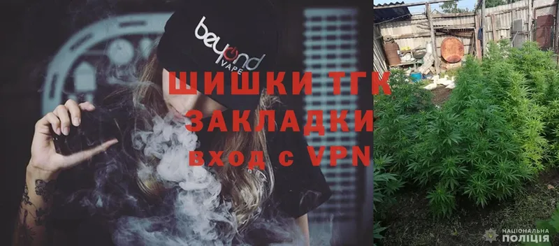 где купить   Заполярный  Конопля SATIVA & INDICA 